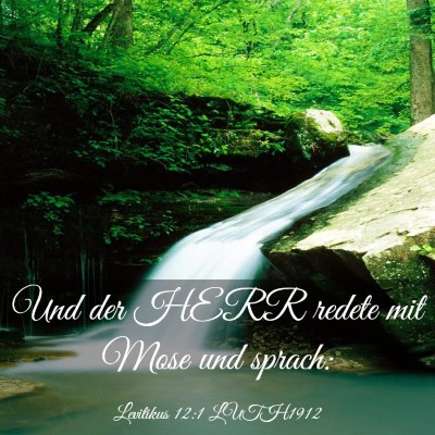 Picture 03 - Levitikus 12:1 LUTH1912 - Und der HERR redete mit Mose und - Bible Verse Picture