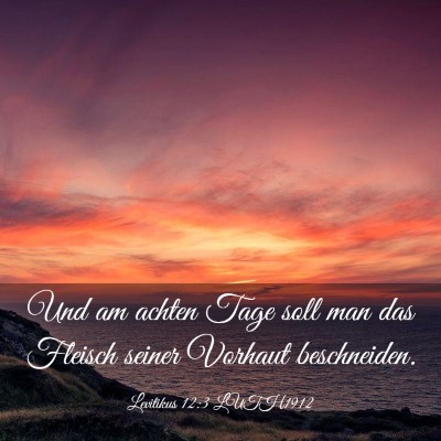 Picture 03 - Levitikus 12:3 LUTH1912 - Und am achten Tage soll man das Fleisch seiner - Bible Verse Picture