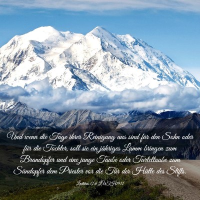 Picture 03 - Levitikus 12:6 LUTH1912 - Und wenn die Tage ihrer Reinigung aus sind für - Bible Verse Picture