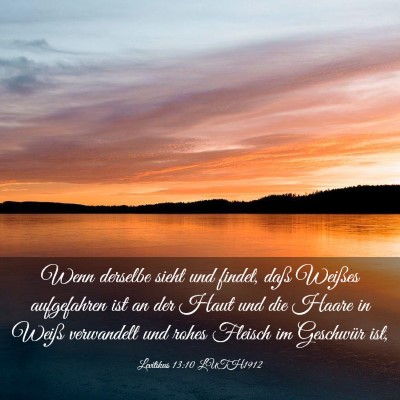 Picture 03 - Levitikus 13:10 LUTH1912 - Wenn derselbe sieht und findet, daß Weißes - Bible Verse Picture