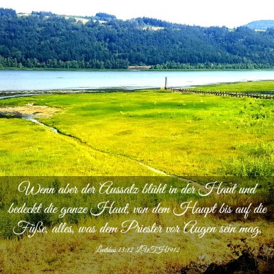 Picture 03 - Levitikus 13:12 LUTH1912 - Wenn aber der Aussatz blüht in der Haut und - Bible Verse Picture