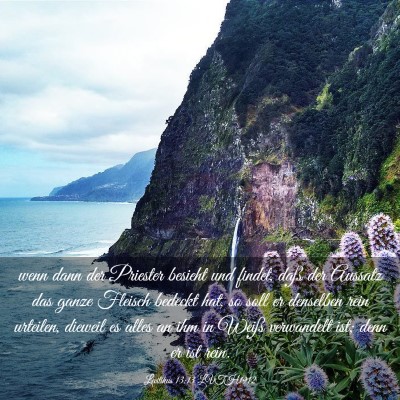 Picture 03 - Levitikus 13:13 LUTH1912 - wenn dann der Priester besieht und findet, daß - Bible Verse Picture
