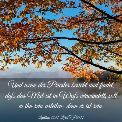 Picture 03 - Levitikus 13:17 LUTH1912 - Und wenn der Priester besieht und findet, daß - Bible Verse Picture