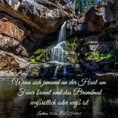 Picture 03 - Levitikus 13:24 LUTH1912 - Wenn sich jemand an der Haut am Feuer brennt und - Bible Verse Picture