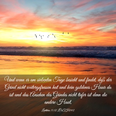 Picture 03 - Levitikus 13:32 LUTH1912 - Und wenn er am siebenten Tage besieht und findet, - Bible Verse Picture