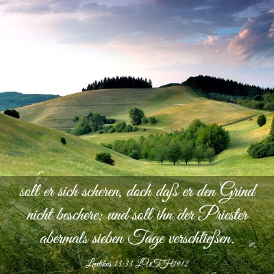Picture 03 - Levitikus 13:33 LUTH1912 - soll er sich scheren, doch daß er den Grind - Bible Verse Picture