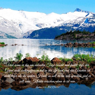 Picture 03 - Levitikus 13:34 LUTH1912 - Und wenn er ihn am siebenten Tage besieht und - Bible Verse Picture