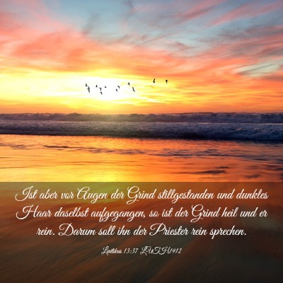 Picture 03 - Levitikus 13:37 LUTH1912 - Ist aber vor Augen der Grind stillgestanden und - Bible Verse Picture