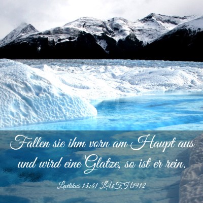 Picture 03 - Levitikus 13:41 LUTH1912 - Fallen sie ihm vorn am Haupt aus und wird eine - Bible Verse Picture