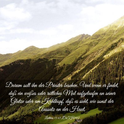 Picture 03 - Levitikus 13:43 LUTH1912 - Darum soll ihn der Priester besehen. Und wenn er - Bible Verse Picture
