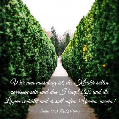 Picture 03 - Levitikus 13:45 LUTH1912 - Wer nun aussätzig ist, des Kleider sollen - Bible Verse Picture