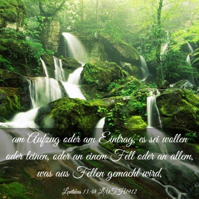 Picture 03 - Levitikus 13:48 LUTH1912 - am Aufzug oder am Eintrag, es sei wollen oder - Bible Verse Picture