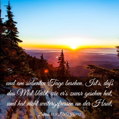 Picture 03 - Levitikus 13:5 LUTH1912 - und am siebenten Tage besehen. Ist's, daß das - Bible Verse Picture