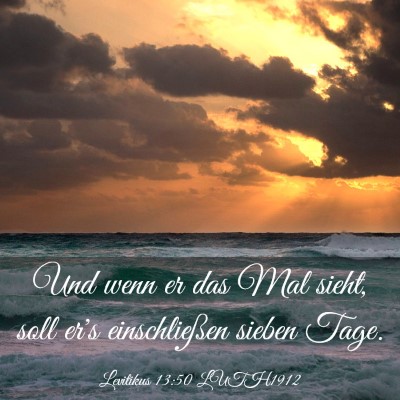 Picture 03 - Levitikus 13:50 LUTH1912 - Und wenn er das Mal sieht, soll er's - Bible Verse Picture