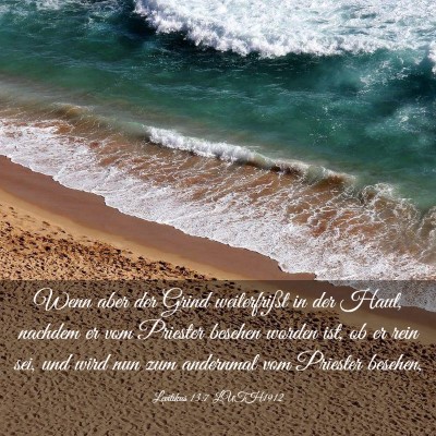 Picture 03 - Levitikus 13:7 LUTH1912 - Wenn aber der Grind weiterfrißt in der Haut, - Bible Verse Picture