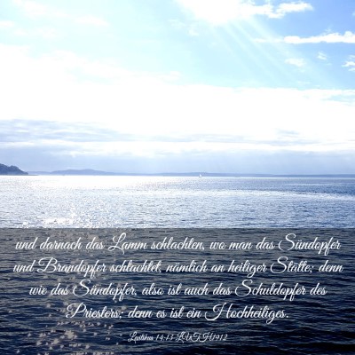 Picture 03 - Levitikus 14:13 LUTH1912 - und darnach das Lamm schlachten, wo man das - Bible Verse Picture