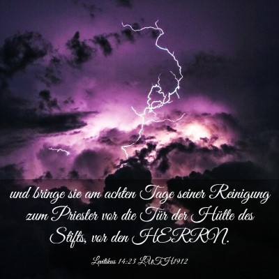 Picture 03 - Levitikus 14:23 LUTH1912 - und bringe sie am achten Tage seiner Reinigung - Bible Verse Picture