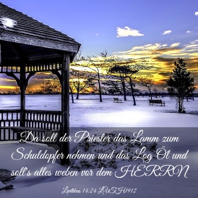 Picture 03 - Levitikus 14:24 LUTH1912 - Da soll der Priester das Lamm zum Schuldopfer - Bible Verse Picture