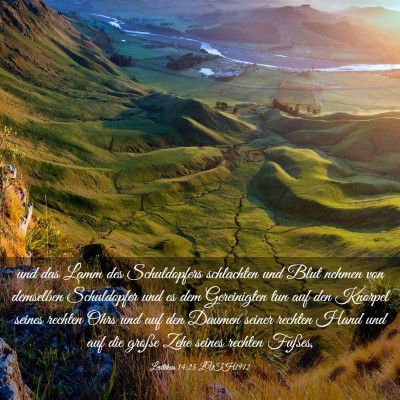 Picture 03 - Levitikus 14:25 LUTH1912 - und das Lamm des Schuldopfers schlachten und Blut - Bible Verse Picture