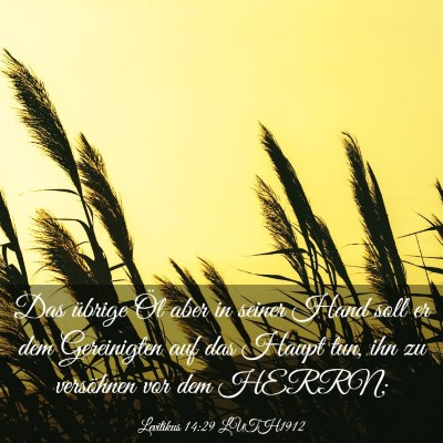Picture 03 - Levitikus 14:29 LUTH1912 - Das übrige Öl aber in seiner Hand soll er dem - Bible Verse Picture