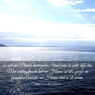 Picture 03 - Levitikus 14:44 LUTH1912 - so soll der Priester hineingehen. Und wenn er - Bible Verse Picture