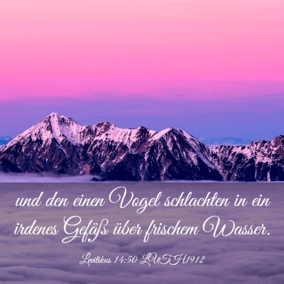 Picture 03 - Levitikus 14:50 LUTH1912 - und den einen Vogel schlachten in ein irdenes - Bible Verse Picture