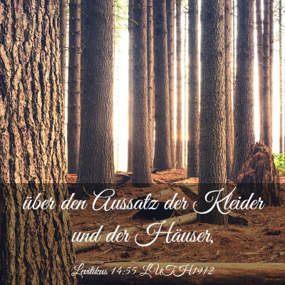 Picture 03 - Levitikus 14:55 LUTH1912 - über den Aussatz der Kleider und der - Bible Verse Picture