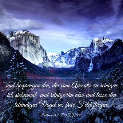 Picture 03 - Levitikus 14:7 LUTH1912 - und besprengen den, der vom Aussatz zu reinigen - Bible Verse Picture