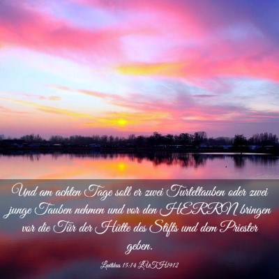 Picture 03 - Levitikus 15:14 LUTH1912 - Und am achten Tage soll er zwei Turteltauben oder - Bible Verse Picture