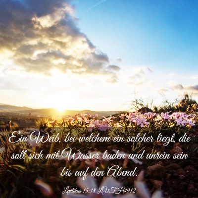 Picture 03 - Levitikus 15:18 LUTH1912 - Ein Weib, bei welchem ein solcher liegt, die soll - Bible Verse Picture