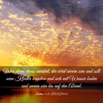 Picture 03 - Levitikus 15:27 LUTH1912 - Wer deren etwas anrührt, der wird unrein sein - Bible Verse Picture