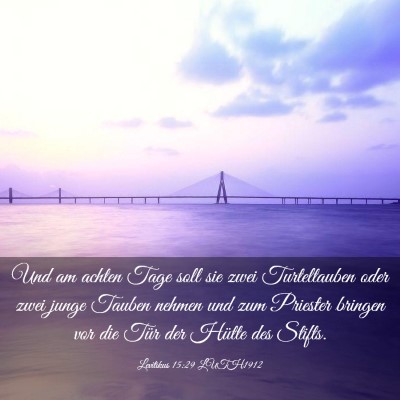 Picture 03 - Levitikus 15:29 LUTH1912 - Und am achten Tage soll sie zwei Turteltauben - Bible Verse Picture