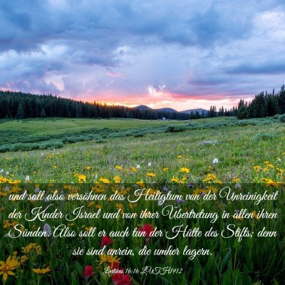 Picture 03 - Levitikus 16:16 LUTH1912 - und soll also versöhnen das Heiligtum von der - Bible Verse Picture