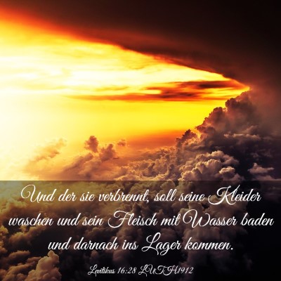 Picture 03 - Levitikus 16:28 LUTH1912 - Und der sie verbrennt, soll seine Kleider waschen - Bible Verse Picture