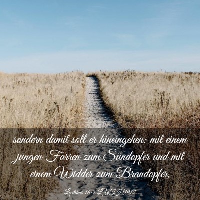 Picture 03 - Levitikus 16:3 LUTH1912 - sondern damit soll er hineingehen: mit einem - Bible Verse Picture