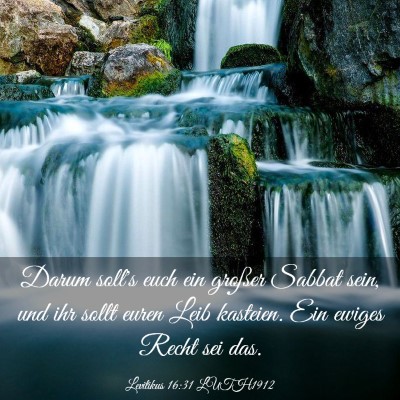 Picture 03 - Levitikus 16:31 LUTH1912 - Darum soll's euch ein großer Sabbat sein, und - Bible Verse Picture