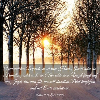 Picture 03 - Levitikus 17:13 LUTH1912 - Und welcher Mensch, er sei vom Haus Israel oder - Bible Verse Picture