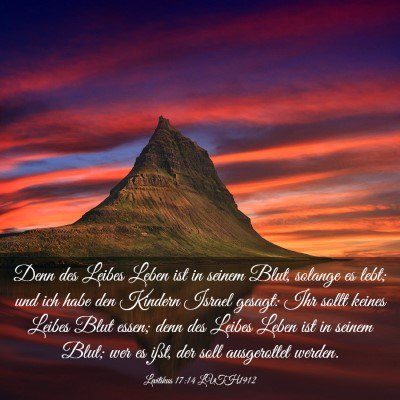 Picture 03 - Levitikus 17:14 LUTH1912 - Denn des Leibes Leben ist in seinem Blut, solange - Bible Verse Picture
