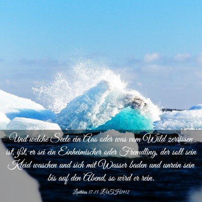 Picture 03 - Levitikus 17:15 LUTH1912 - Und welche Seele ein Aas oder was vom Wild - Bible Verse Picture
