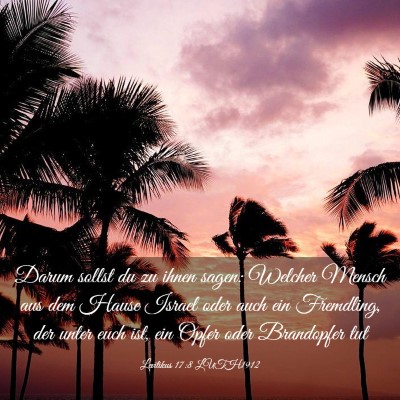Picture 03 - Levitikus 17:8 LUTH1912 - Darum sollst du zu ihnen sagen: Welcher Mensch - Bible Verse Picture