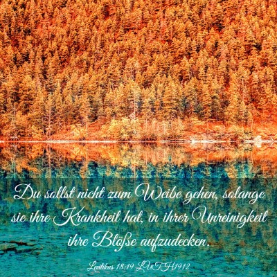 Picture 03 - Levitikus 18:19 LUTH1912 - Du sollst nicht zum Weibe gehen, solange sie ihre - Bible Verse Picture