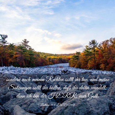 Picture 03 - Levitikus 18:4 LUTH1912 - sondern nach meinen Rechten sollt ihr tun, und - Bible Verse Picture