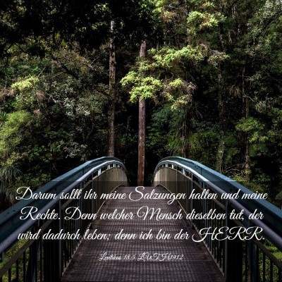 Picture 03 - Levitikus 18:5 LUTH1912 - Darum sollt ihr meine Satzungen halten und meine - Bible Verse Picture