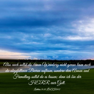 Picture 03 - Levitikus 19:10 LUTH1912 - Also auch sollst du deinen Weinberg nicht genau - Bible Verse Picture