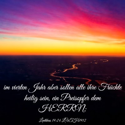 Picture 03 - Levitikus 19:24 LUTH1912 - im vierten Jahr aber sollen alle ihre Früchte - Bible Verse Picture