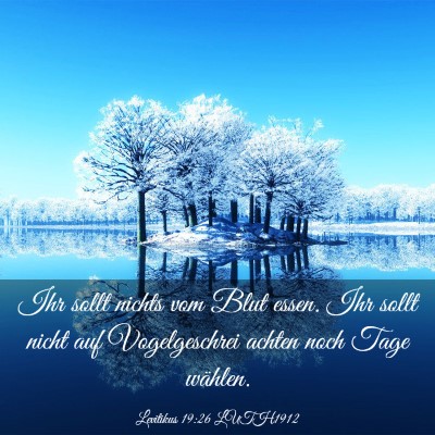 Picture 03 - Levitikus 19:26 LUTH1912 - Ihr sollt nichts vom Blut essen. Ihr sollt nicht - Bible Verse Picture