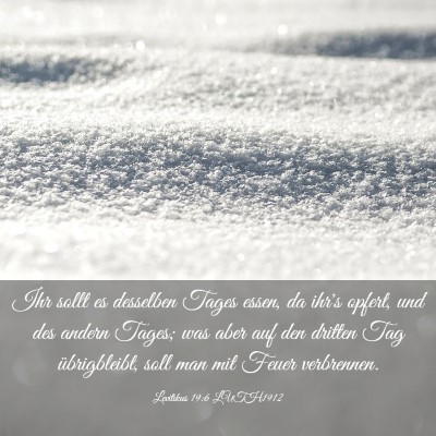 Picture 03 - Levitikus 19:6 LUTH1912 - Ihr sollt es desselben Tages essen, da ihr's - Bible Verse Picture