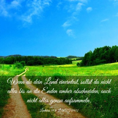 Picture 03 - Levitikus 19:9 LUTH1912 - Wenn du dein Land einerntest, sollst du nicht - Bible Verse Picture