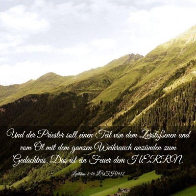 Picture 03 - Levitikus 2:16 LUTH1912 - Und der Priester soll einen Teil von dem - Bible Verse Picture