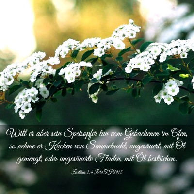 Picture 03 - Levitikus 2:4 LUTH1912 - Will er aber sein Speisopfer tun vom Gebackenen - Bible Verse Picture